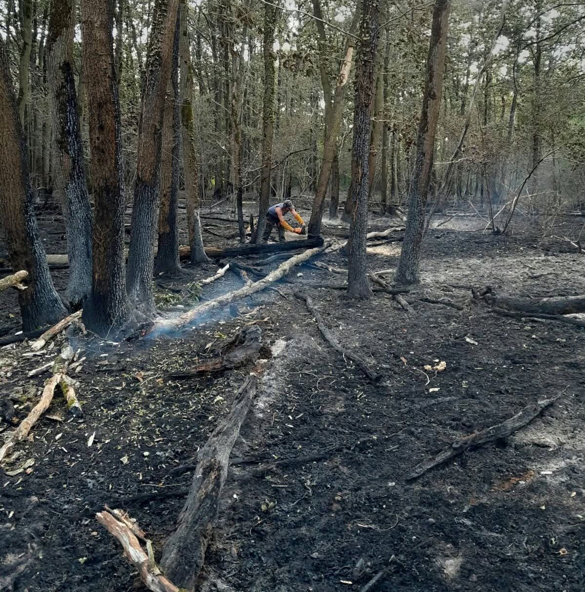 RETOUR SUR LES INCENDIES D'HIER (25/06) & APPEL À LA PLUS GRANDE VIGILANCE